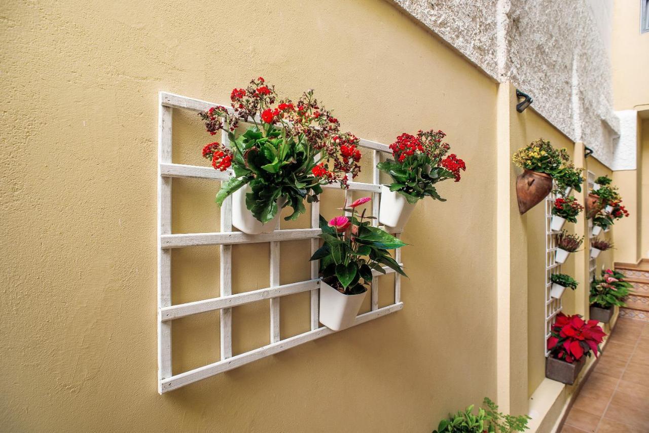 Las Sales Duplex Moya  المظهر الخارجي الصورة